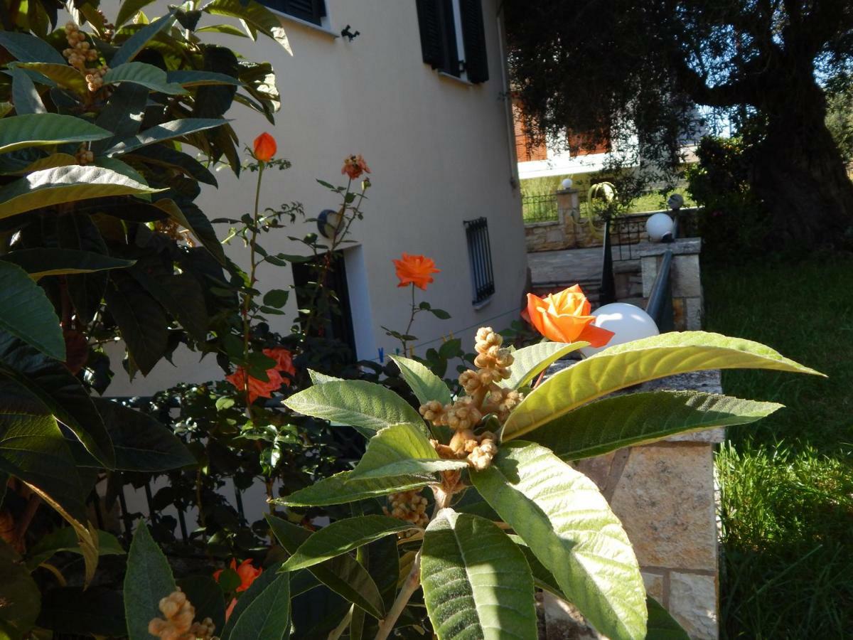 Villa Dimitra Sívota Zewnętrze zdjęcie